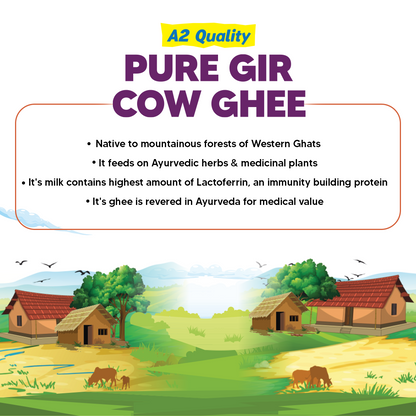 A2 Cow Ghee